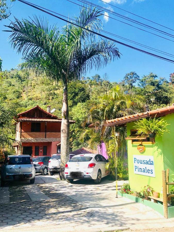 Pinales *